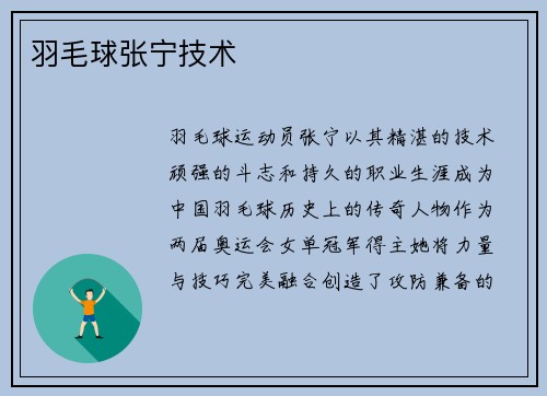 羽毛球张宁技术